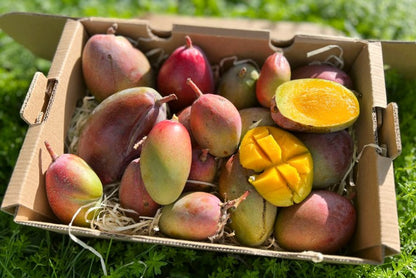 Baby-Mango Osteen Bio von Julian Box 2kg