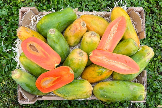 Baby-Papaya Bio von Julian Aktionsbox % 3kg