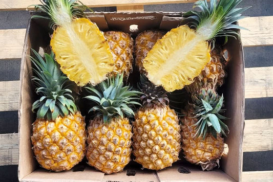 Baby-Ananas "Queen Victoria" Bio Flugware 1Stk.