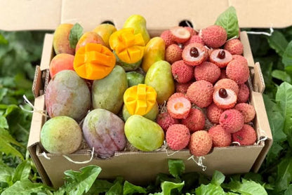 Babymango & Litschi Duo Box