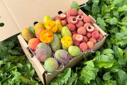 Babymango & Litschi Duo Box