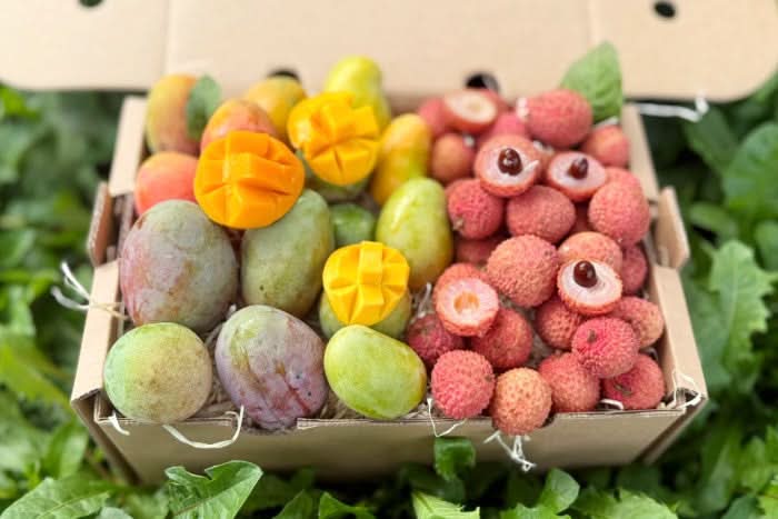 Babymango & Litschi Duo Box