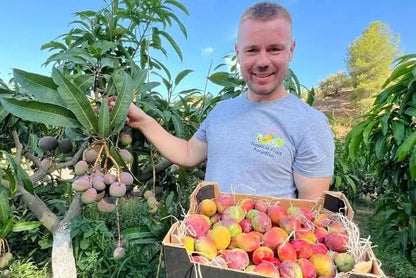 Mango Entdeckerbox Bio & Wild Sparpreis-Box