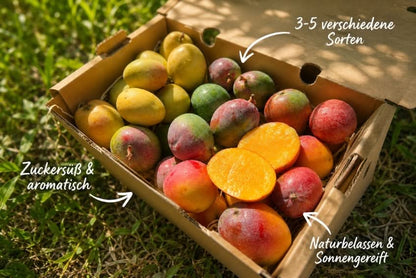 Baby-Mango Mix 500g