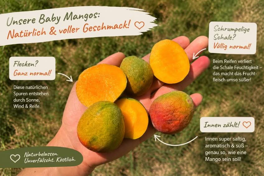 Baby-Mango Mix 500g