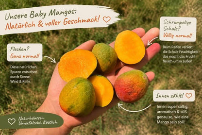 Baby-Mango Mix 500g