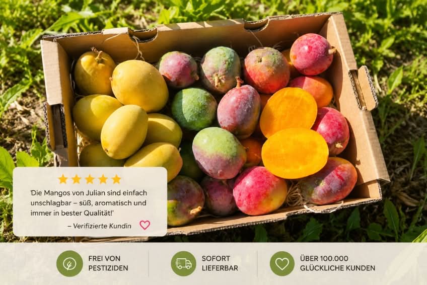 Baby-Mango Mix 500g