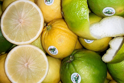 Bergamotten Bio von Familie Bilardi Kalabrien