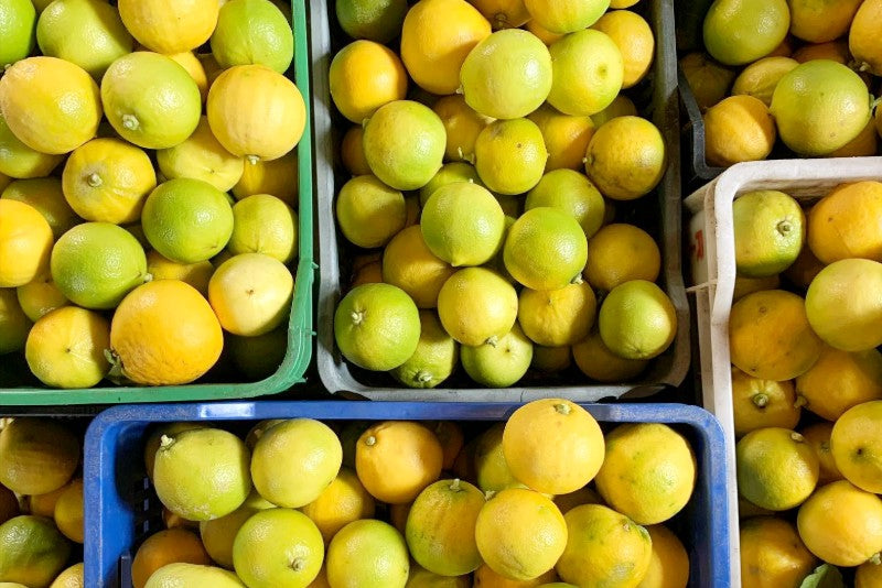 Bergamotten Bio von Familie Bilardi Kalabrien