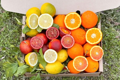 Zitrus-Mix Calabria Bio Box 5kg