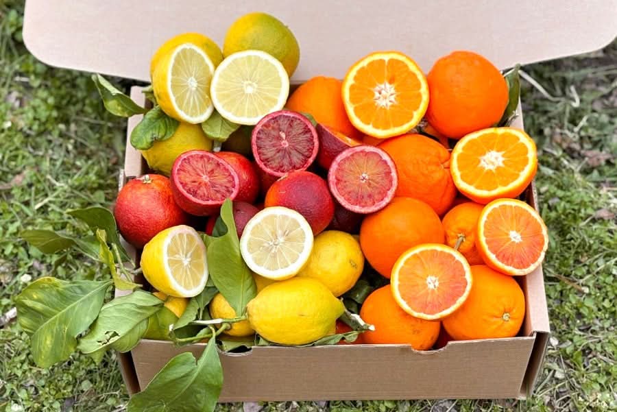 Zitrus-Mix Calabria Bio Box 5kg