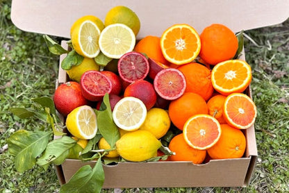 Zitrus-Mix Calabria Bio Box 5kg