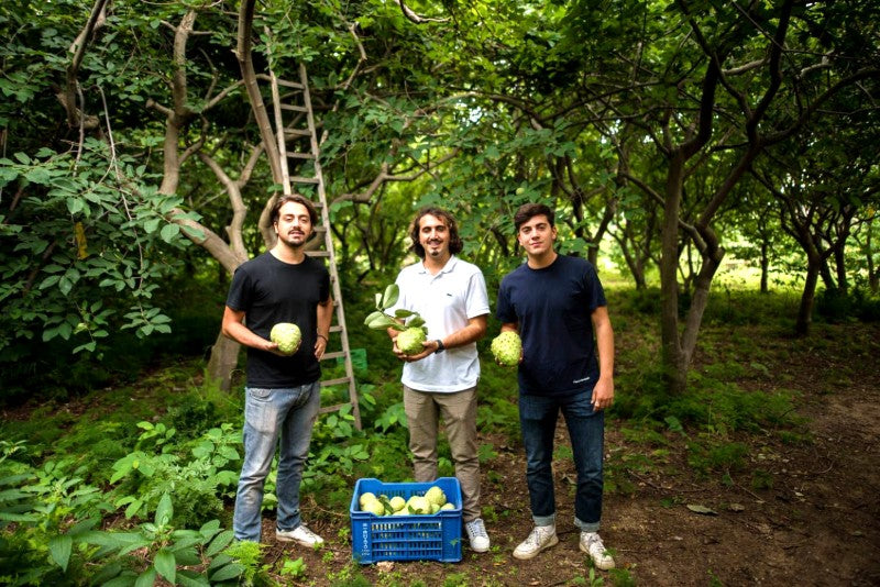 Bergamotten Bio von Familie Bilardi Kalabrien