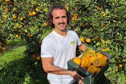 Orangen Navel Bio Fratelli Bilardi Kalabrien Sonderaktion % 8kg