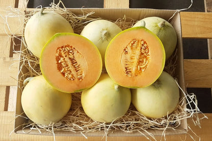 honigmelone aufbewahren Honigmelone Honeymoon Bio bestellen