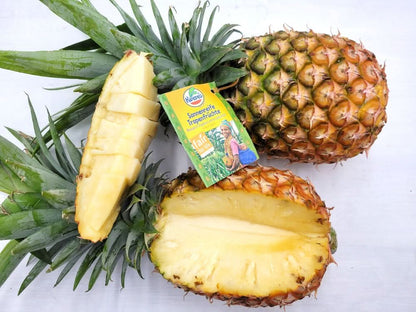 Ananas „Smooth Cayenne“ Bio Flugware Kipepeo Fair