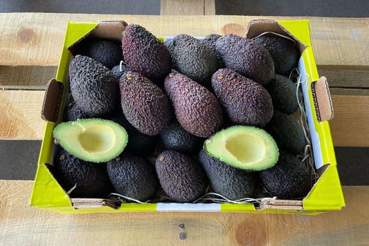 Frische Bio Hass Avocados aus Sizilien direkt vom Ätna – jetzt Avocado Hass kaufen und cremigen Geschmack genießen