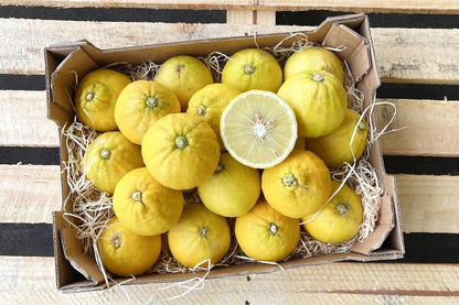 Bergamotten Bio von Familie Bilardi Kalabrien