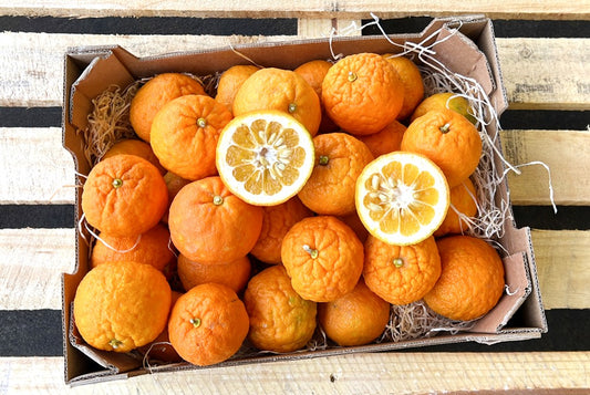 Bitterorangen  Bio (syn. Pomeranzen)