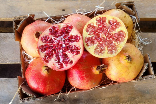 Granatapfel Mix Bio von Antonio Flash-Aktion