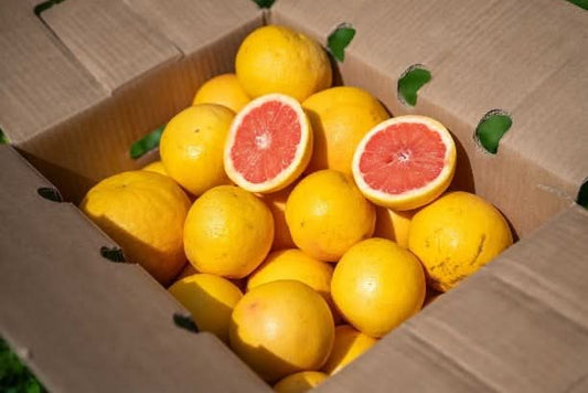 Grapefruit rose Bio von Apostolis Kreta 4kg Box