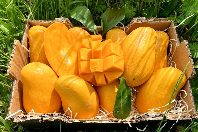 Exotische Früchtebox "Das Gold der Inkas"