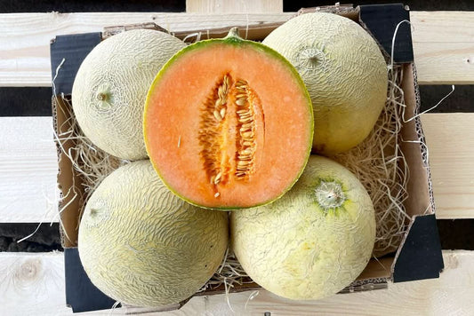 Honigmelone Honey Sweet Bio 1Stk.