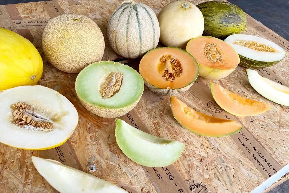 Melonen-Mix Bio 5er Box