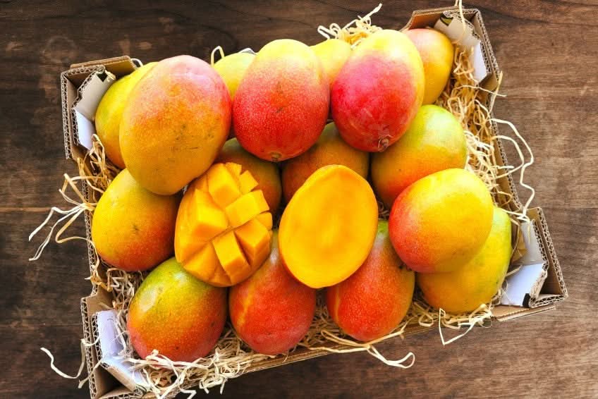 Mango Haden Bio baumgereift von Jose Luis