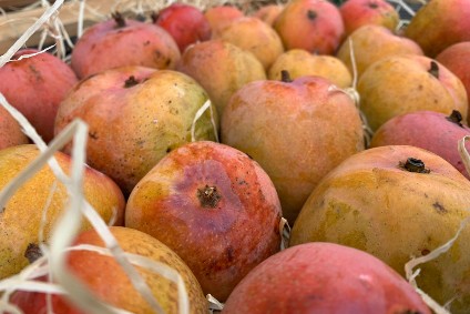 Baby Mango Tropigold von Antonio Sonderaktion %