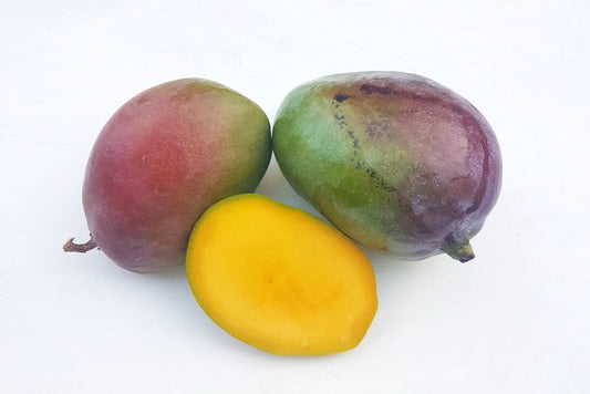 Mango Zill wild (unbehandelt) von Rufino Box Sonderaktion! 3kg