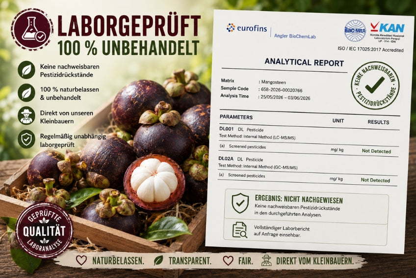 Mangostan (Mangosteen) Sommeraktion %