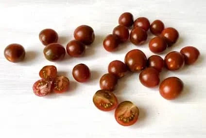 Cherrytomaten "Chocolate" regional Bio