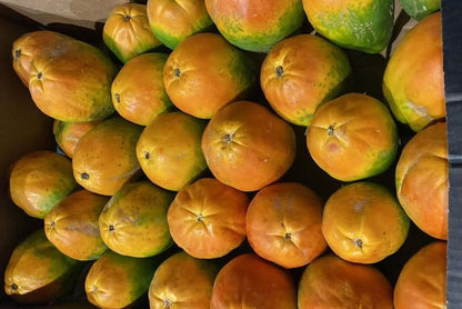 Bio Papaya von Felipe Sparpreis-Box % 4,5kg
