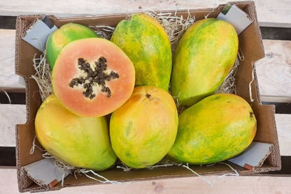 Bio Papaya von Felipe Sparpreis-Box % 4,5kg