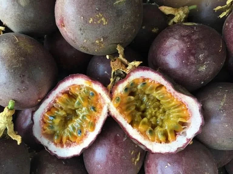 Bio Passionsfrüchte kaufen – aufgeschnittene Frucht mit gelbem Fruchtfleisch