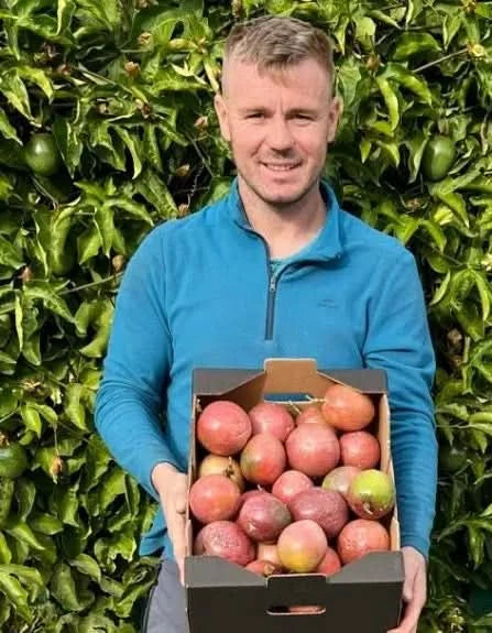 Bio Passionsfrüchte kaufen – Bauer hält Kiste mit frischen Bio Passionsfrüchten vor der Pflanze