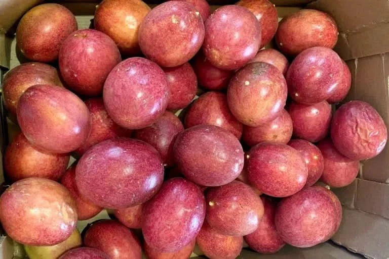 Bio Passionsfrüchte kaufen – rote reife Früchte frisch im Karton