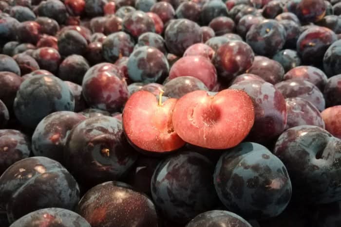 Bio Pflaumen-Delikatesse Pluot von Maria 500g