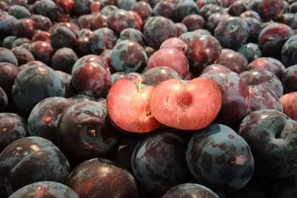 Bio Pflaumen-Delikatesse Pluot von Maria 500g