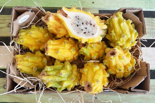 Drachenfrucht (Pitaya) gelb Bio von Tierra Organica