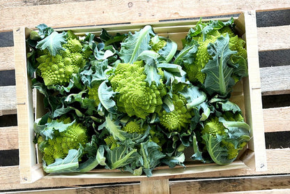 Romanesco Bio regional