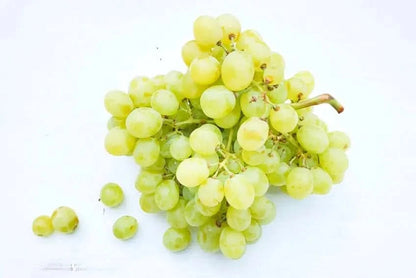 Bio Traube weiss kernlos von Filippo aus Sizilien Aktionspreis % 500g