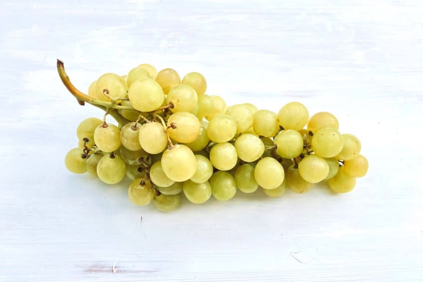 Bio Trauben grün "Italia" Demeter 1kg Aktionspreis