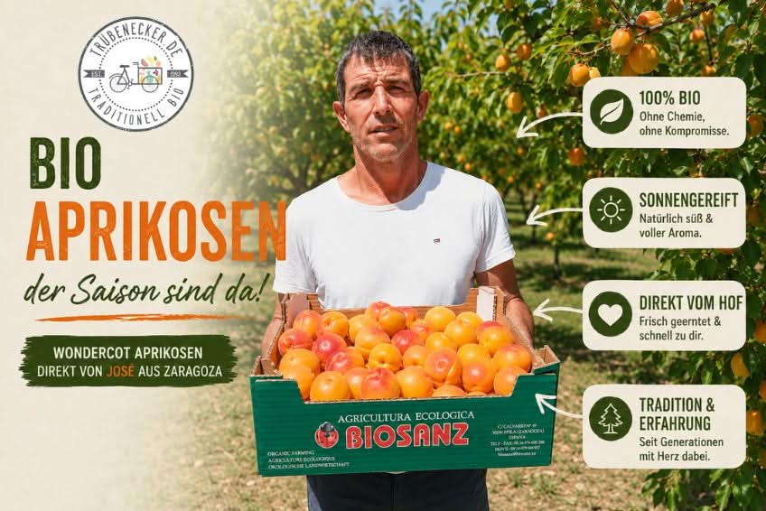 Aprikosen "Hargrand" Bio von Jose