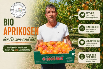 Aprikosen "Hargrand" Bio von Jose