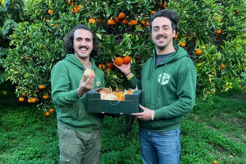 Mandarinen Nova Bio von Familie Bilardi Kalabrien Box 6kg