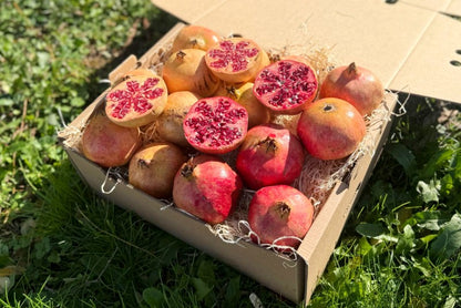 Granatapfel Mix Bio von Antonio Sonderaktion %