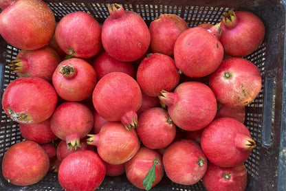Granatapfel Purple Queen Bio von Antonio
