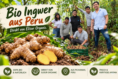 Ingwer Bio aus Peru (mit Schale verwertbar) Aktionspreis % – Produktansicht 2